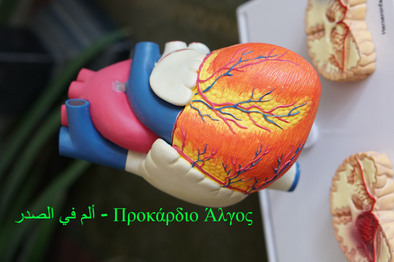 ألم في الصدر – Προκάρδιο Άλγος